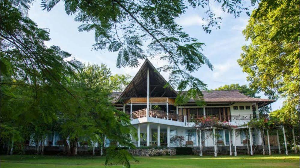 Bajo Komodo Eco Lodge لابوان باجو المظهر الخارجي الصورة