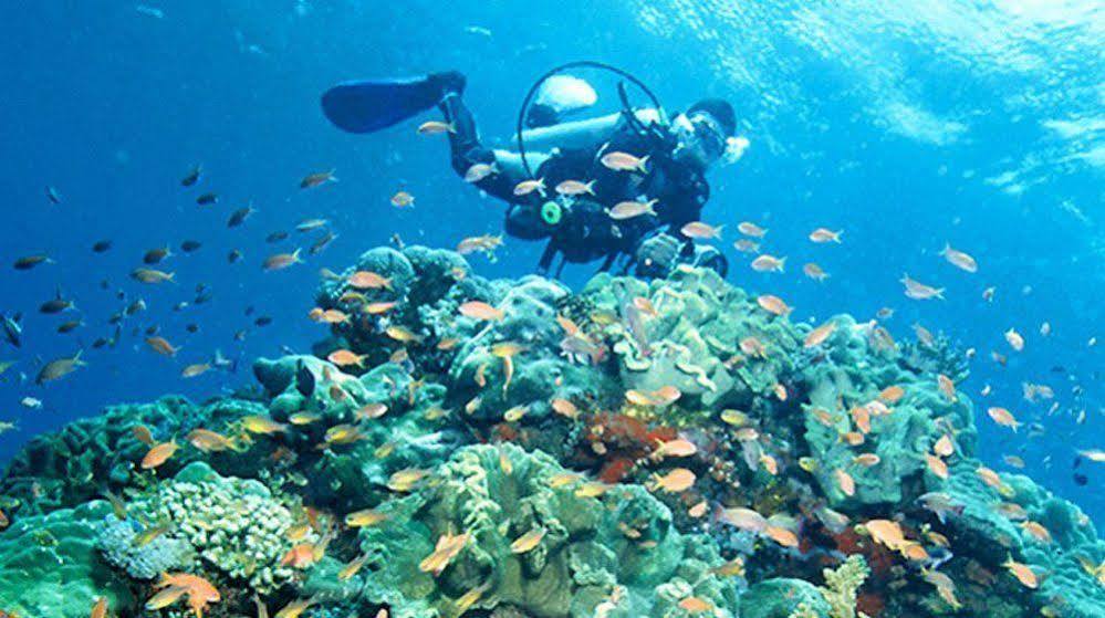 Bajo Komodo Eco Lodge لابوان باجو المظهر الخارجي الصورة